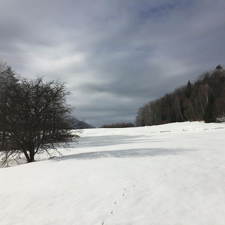 Pokoje Goscinne Vida Krynica Exterior foto