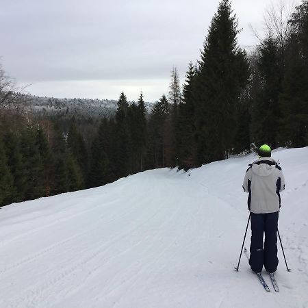 Pokoje Goscinne Vida Krynica Exterior foto