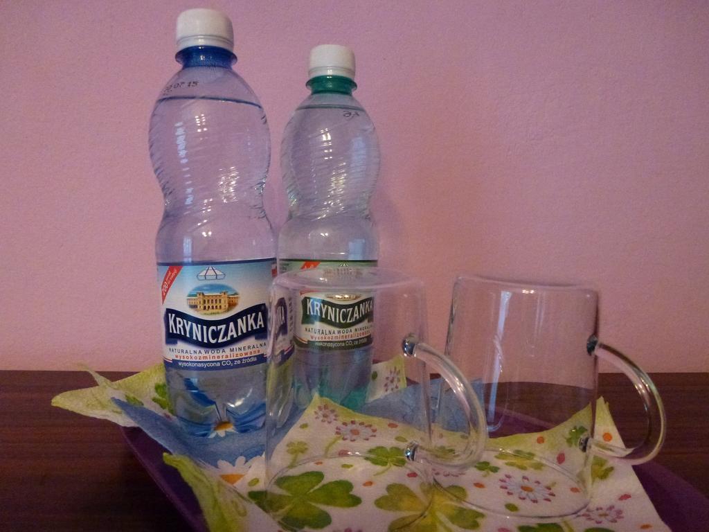 Pokoje Goscinne Vida Krynica Cameră foto